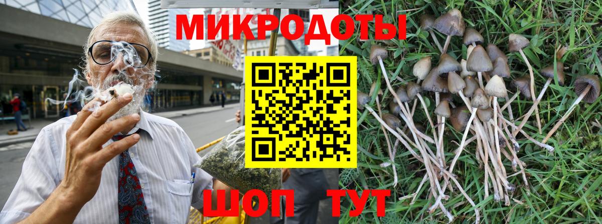Галлюциногенные грибы Psilocybine cubensis Зима