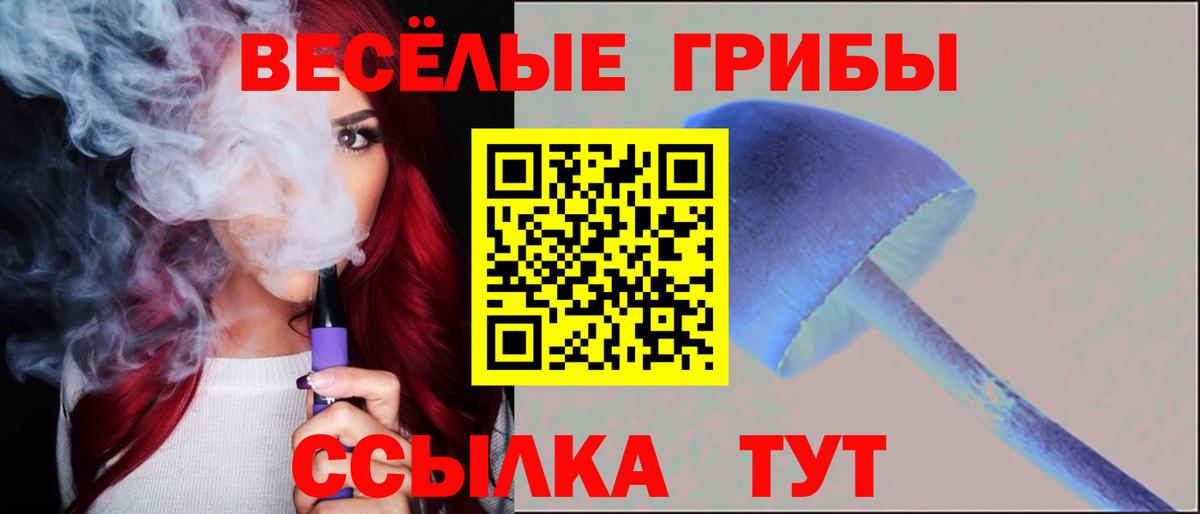 Зима  Псилоцибиновые грибы прущие грибы  Вход с VPN 